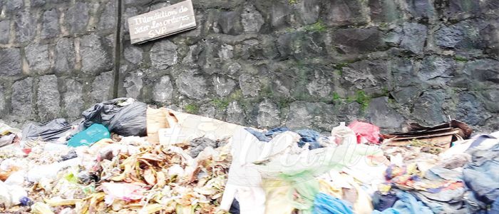 Refuge Disposal: Waste Accumulates Again 