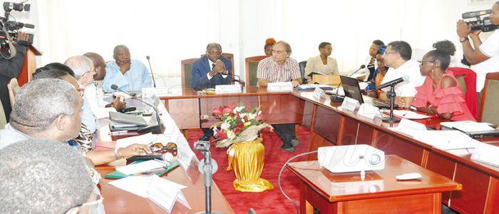 Leucémie, lymphomes et maladies immunitaires: une prise en charge plus efficace Leucémie, lymphomes et maladies immunitaires: une prise en charge plus efficace