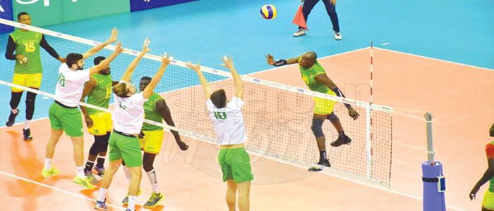 Volleyball: les Lions seront au Mondial