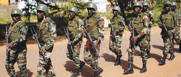 Sahel : «Le petit protégé» 