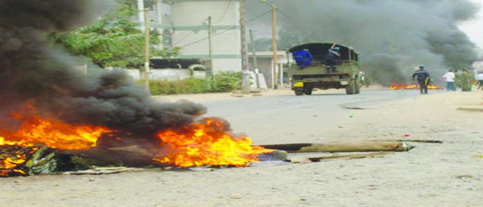 « Années de braise »: Le Cameroun comme un roseau « Années de braise »: Le Cameroun comme un roseau