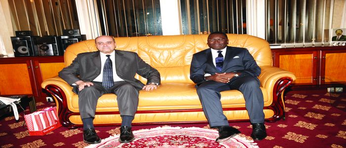 Cameroon-Egypt Cooperation: Ambassador Bids Farewell Cameroon-Egypt Cooperation: Ambassador Bids Farewell