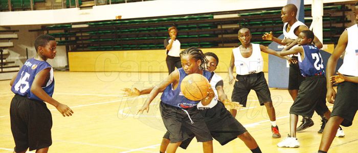 De la NBA à Yaoundé