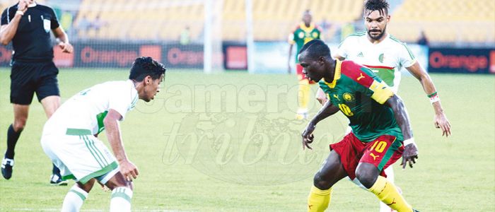 Lions indomptables: Le temps de la reprise en main