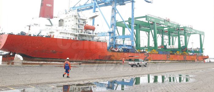 Port de Douala: Traque aux fraudeurs Port de Douala: Traque aux fraudeurs