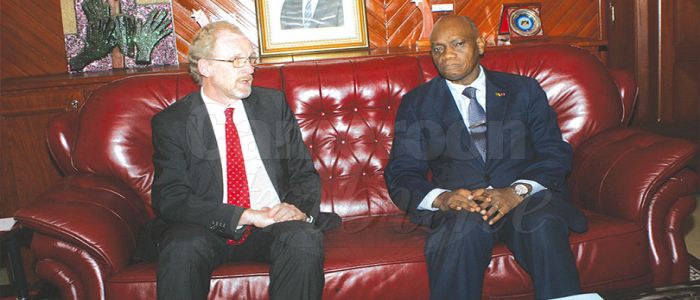 Cameroun-Union européenne: 300 000 tonnes de bananes exportées Cameroun-Union européenne: 300 000 tonnes de bananes exportées