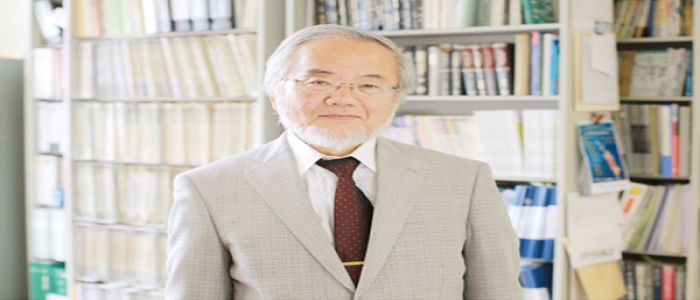 Médecine: le prix Nobel à Yoshinori Ohsumi 