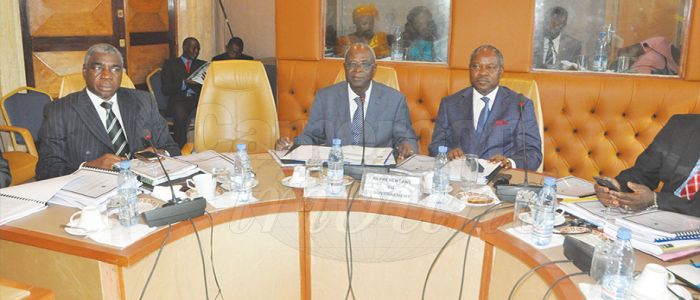 Employment and Vocational Training : Focus On Youth Employment 