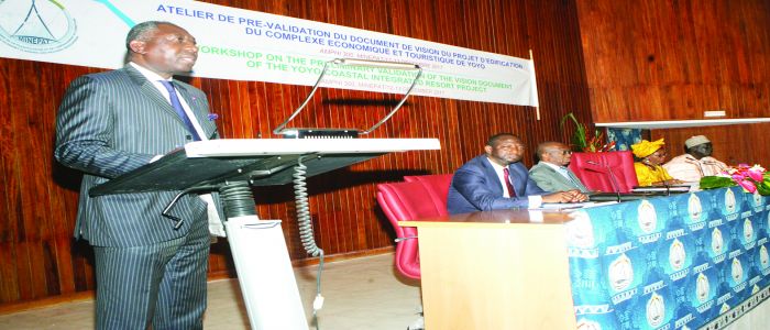 Développement économique et touristique : Yoyo aura son méga complexe