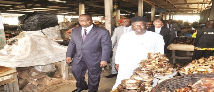 Cameroon-Japan Cooperation: Youpwe Fish Market To Be Renovated 