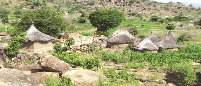 Garoua côté jardins