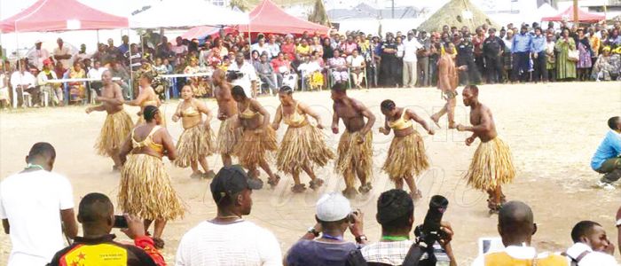 South West: Cultural Festival In Buea