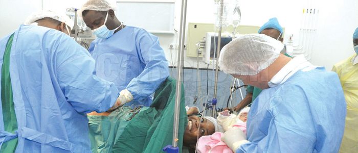 Exercice 2017 au Chracerh ; Trois naissances, douze transferts d’embryons pour finir