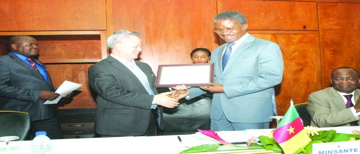 Programme épidémiologique mondial; le Cameroun premier pays africain certifié