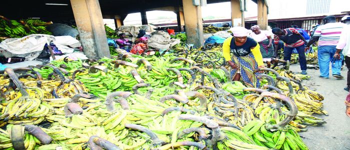 Approvisionnement des marchés: disponibilité assurée jusqu’au premier semestre 2018