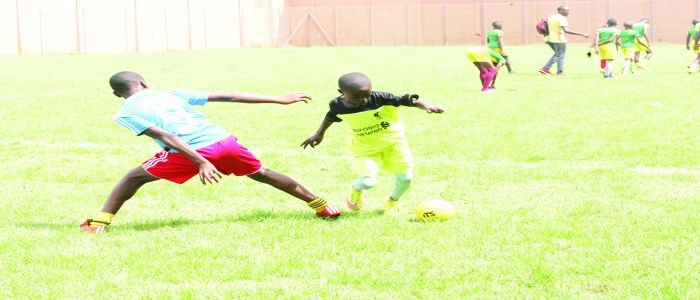 Tournoi «Semences olympiques»: c’est parti ! Tournoi «Semences olympiques»: c’est parti !