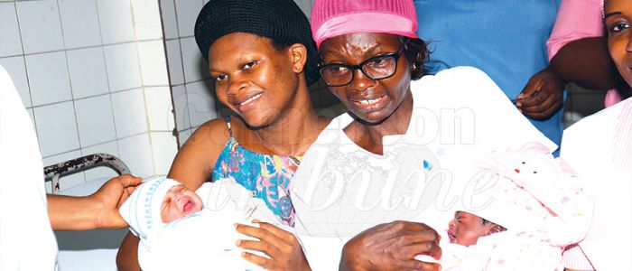 Bébés Bokondo et Kouna: bienvenue en 2018