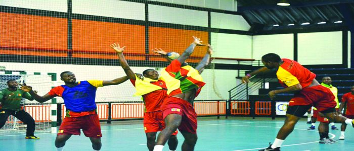 Africa Men’s Handball Championship: Lions Ready For Competition Africa Men’s Handball Championship: Lions Ready For Competition