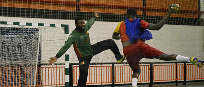 African Men’s Handball Championship: Lions Poised For Victory