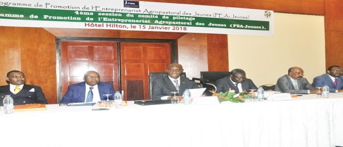 Entreprenariat agropastoral jeune: les bons comptes de 2017