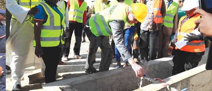 Livestock Breeding: Artificial Pond To Curb Water Shortage 