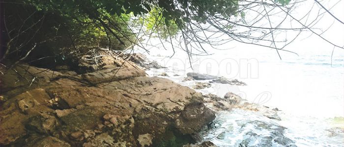 Trafic de drogue: les circuits de Kribi Trafic de drogue: les circuits de Kribi