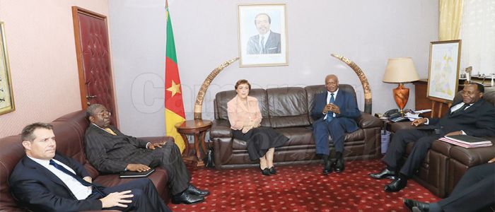 Cameroon-Swiss: Plurilingualism Experiences Shared