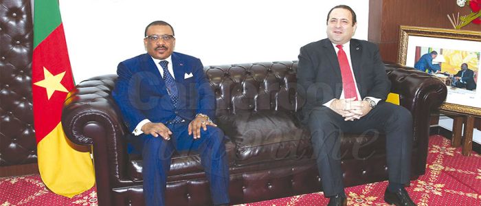 Eau et énergie: la Turquie veut accompagner le Cameroun