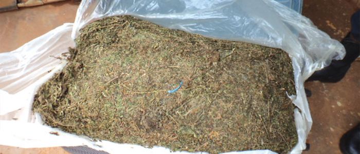 North West: Unorthodox Marijuana Transit Methods North West: Unorthodox Marijuana Transit Methods