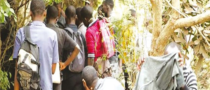 Trafic de drogue à Ebolowa : une percée inquiétante Trafic de drogue à Ebolowa : une percée inquiétante