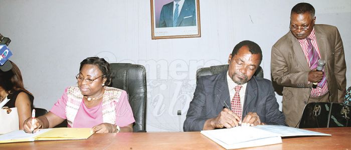 CISAC-Activa Agreement: Special Insurance Secured For Farmers