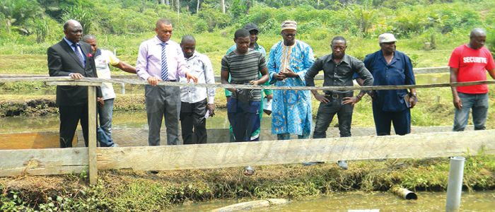 Développement agro-pastoral: le programme Agropoles revit