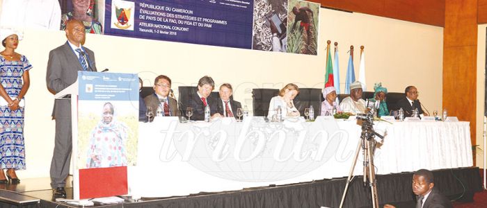 Agricultural Development: Strategy, Programmes Under Review