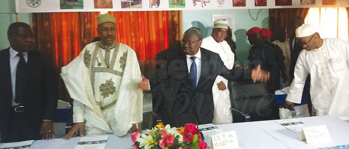 Développement de l’élevage à l’Extrême-Nord: le Prodel lancé à Maroua