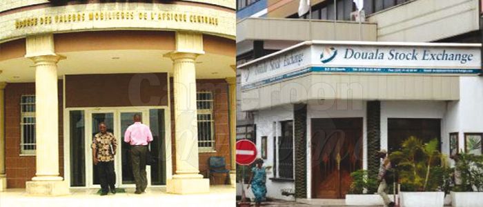 CEMAC: Common Stock Exchange Envisaged