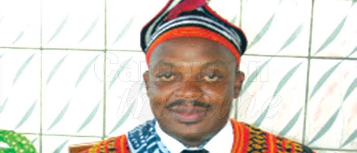 Ndansi Elvis: The Daring Politician