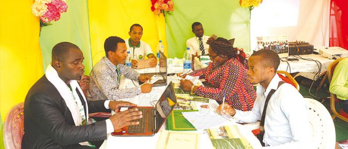 Le numérique, évidemment Le numérique, évidemment