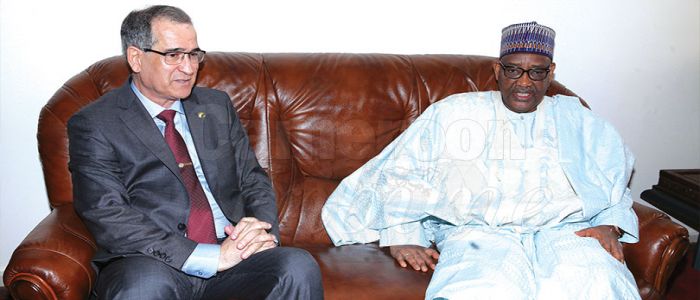 Cameroon-Algeria: Seven Cooperation Agreements in Gestation