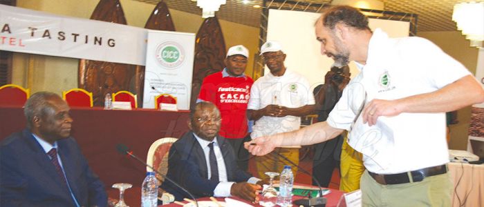 Relance de la filière cacao: la formation pour commencer Relance de la filière cacao: la formation pour commencer