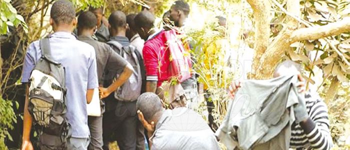 Lutte contre le trafic des drogues: le Minsanté au front