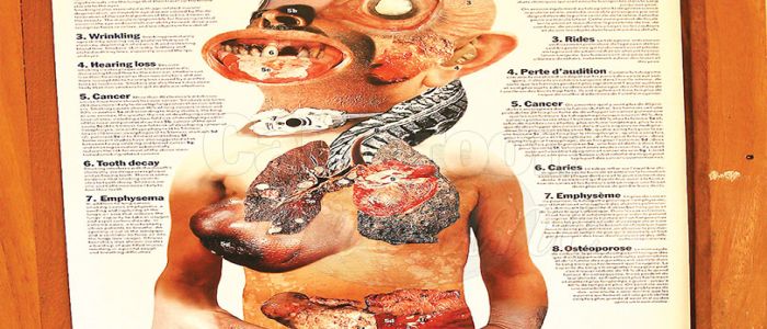 Lutte contre le trafic de la drogue : l’expérience de « La vie » Lutte contre le trafic de la drogue : l’expérience de « La vie »