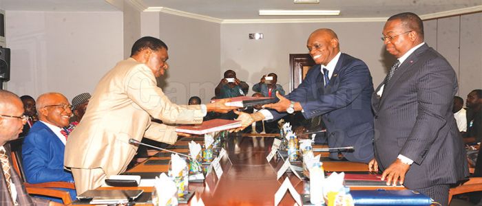 Palm Oil Production: 3.6 Billion Deal On Fertilizer Subsidy Palm Oil Production: 3.6 Billion Deal On Fertilizer Subsidy