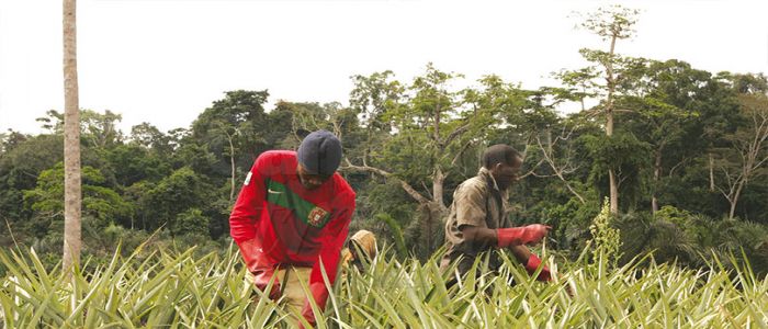 Youth Empowerment: Projects, Programmes Offer Opportunities Youth Empowerment: Projects, Programmes Offer Opportunities