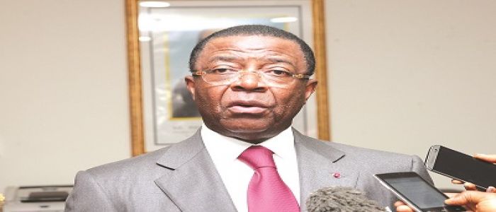 « Nous sommes à Kribi pour simplifier les procédures» « Nous sommes à Kribi pour simplifier les procédures»