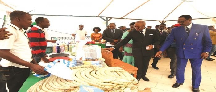 Appui à la micro-entreprise: le Fne a injecté plus de 40 millions de F Appui à la micro-entreprise: le Fne a injecté plus de 40 millions de F