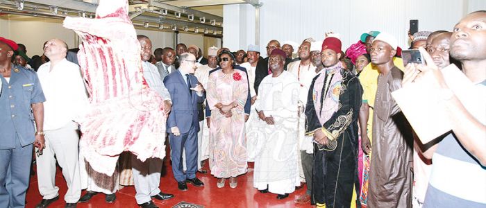 Animal Industries: Gigantic Cold Store Goes Operational Animal Industries: Gigantic Cold Store Goes Operational