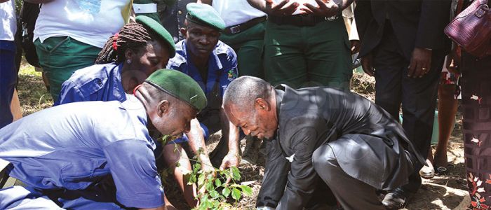 Journée internationale de l’arbre: la conservation des forêts, une nécessité Journée internationale de l’arbre: la conservation des forêts, une nécessité