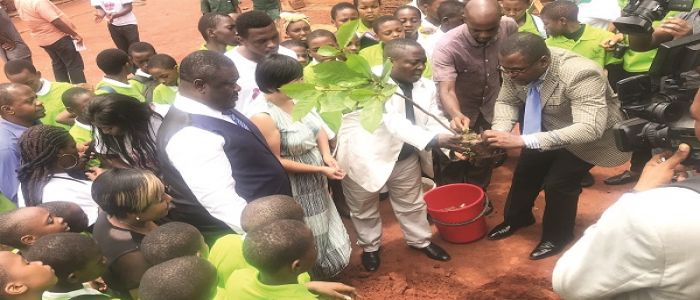 Conservation: Greenpeace Opens Space In Yaounde