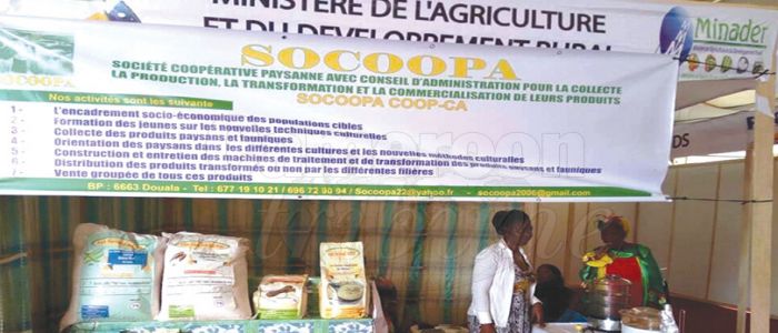 Foire Internationale des Affaires et du Commerce: le «made in Cameroon» en vitrine