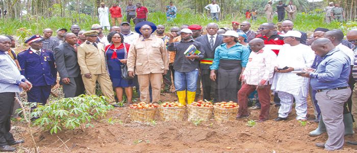 Entrepreneuriat agropastoral: 4,4 milliards pour soutenir les jeunes  du secteur rural